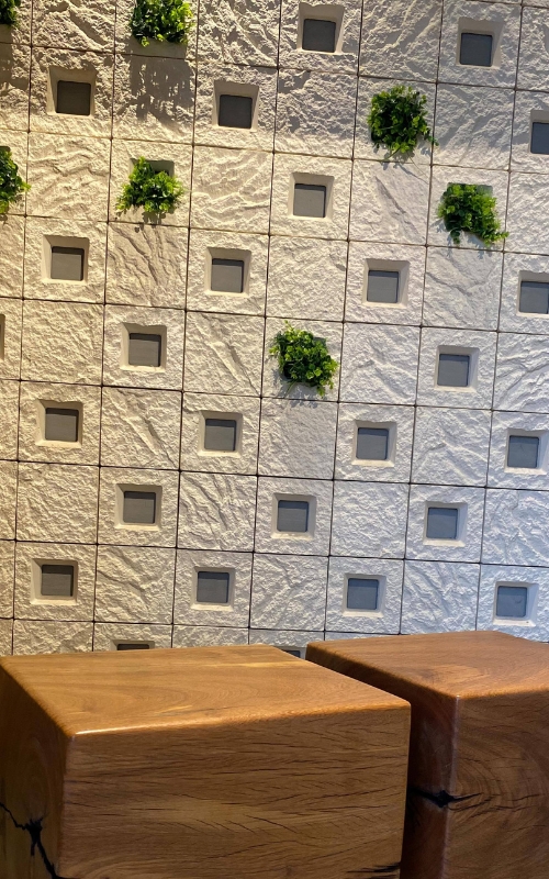 COBOGÓ ROMA (6)