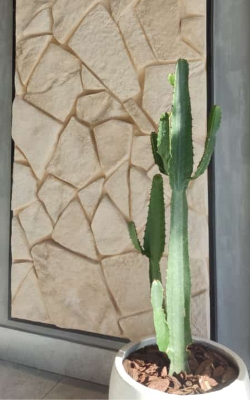 PEDRA MOLEDO (5)